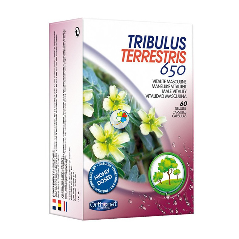 TRIBULUS TERRESTRIS 650 60 CAPSULAS ORTHONAT