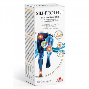 SILI-PROTECT 500Ml. INTERSA