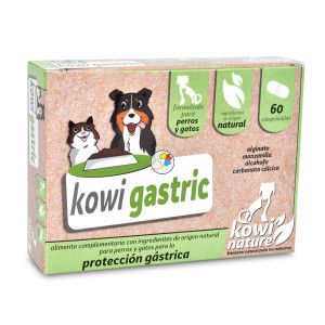 Kowi Gastric, 60 comprimidos KOWI NATURE