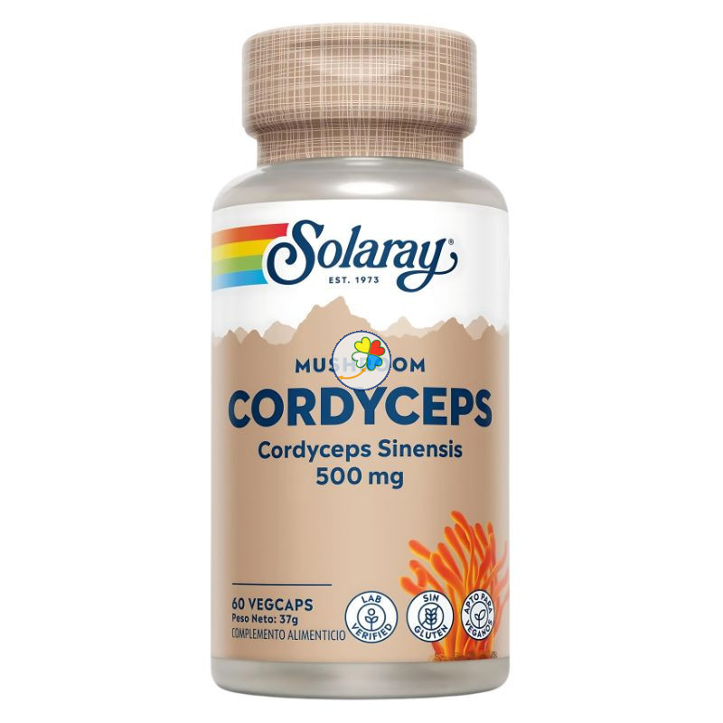 CORDYCEPS FERMENTED 500Mg. 60 CAPSULAS VEGETALES