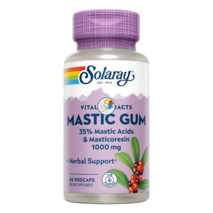 MASTIC GUM 500Mg. 45 CAPSULAS VEGETALES