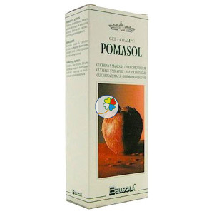 POMASOL GEL CHAMPU 250Ml. BELLSOLA