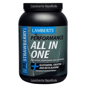 ALL IN ONE WHEY-STRAWBERRY 1.000Gr. LAMBERTS