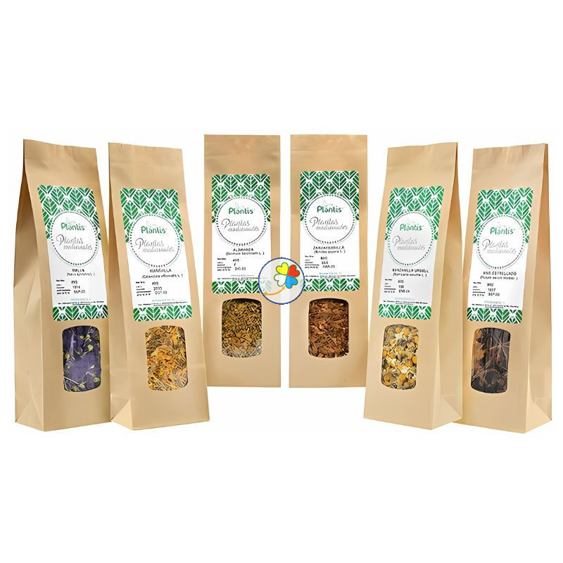 GINKGO HOJA BOLSA 40 GR PLANTIS