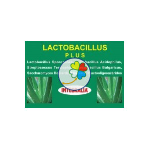 LACTOBACILLUS PLUS 60 CAPSULAS INTEGRALIA