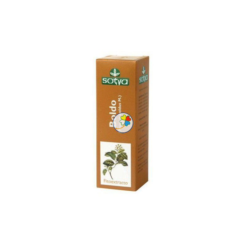 BOLDO 50ML. GLICERINADO SOTYA