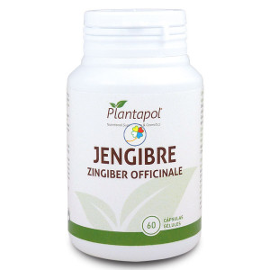 JENGIBRE 60 CAPSULAS PLANTA POL