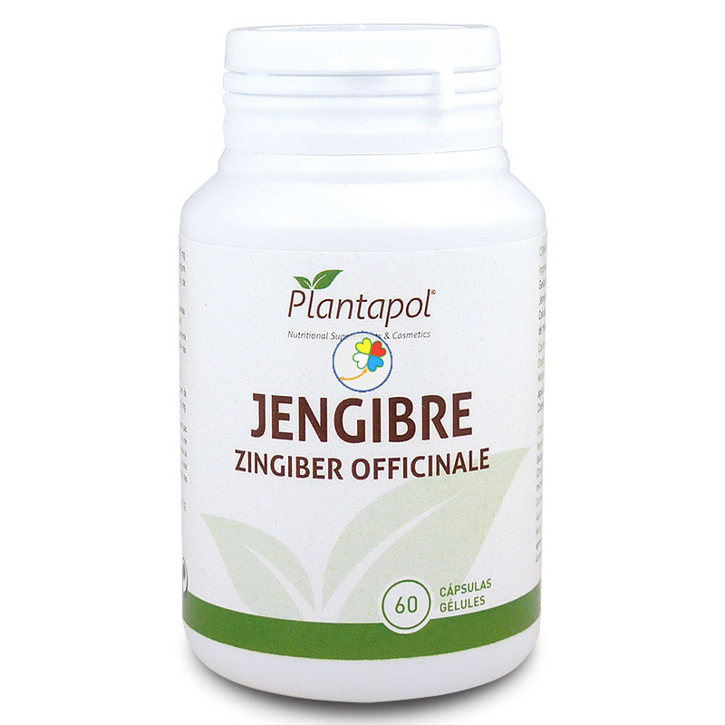 JENGIBRE 60 CAPSULAS PLANTA POL