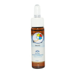 FM WILLOW (Sauce) 10Ml. FORZA VITALE