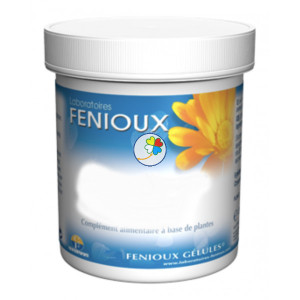 BAMBU TABASHIR 200 CAPSULAS FENIOUX