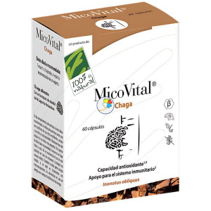 MICOVITAL CHAGA 60 CÁPSULAS 100% NATURAL