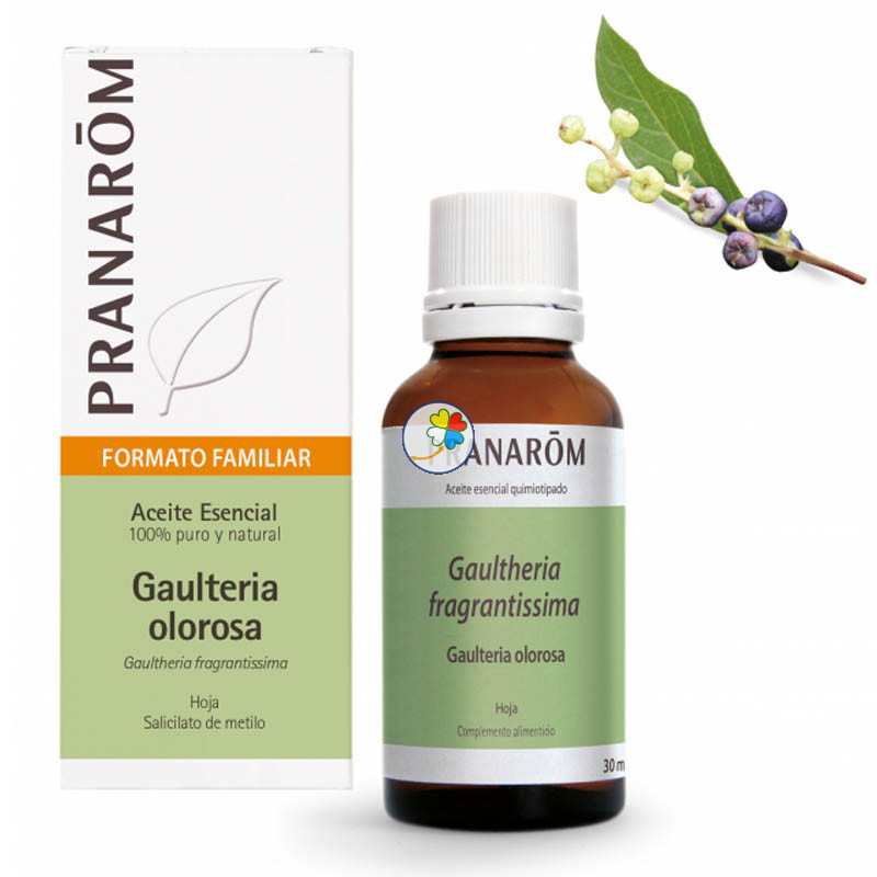 ACEITE ESENCIAL DE GAULTERIA OLOROSA BIO 30Ml PRANAROM