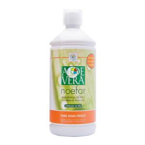 ALOE VERA 1Lt. NOEFAR