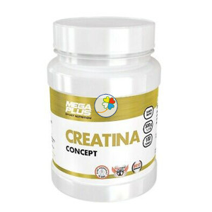 CREATINA CONCEPT 500Gr. MEGAPLUS