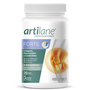 ARTILANE FORTE 220Gr. ARAMA NATURAL PRODUCTS