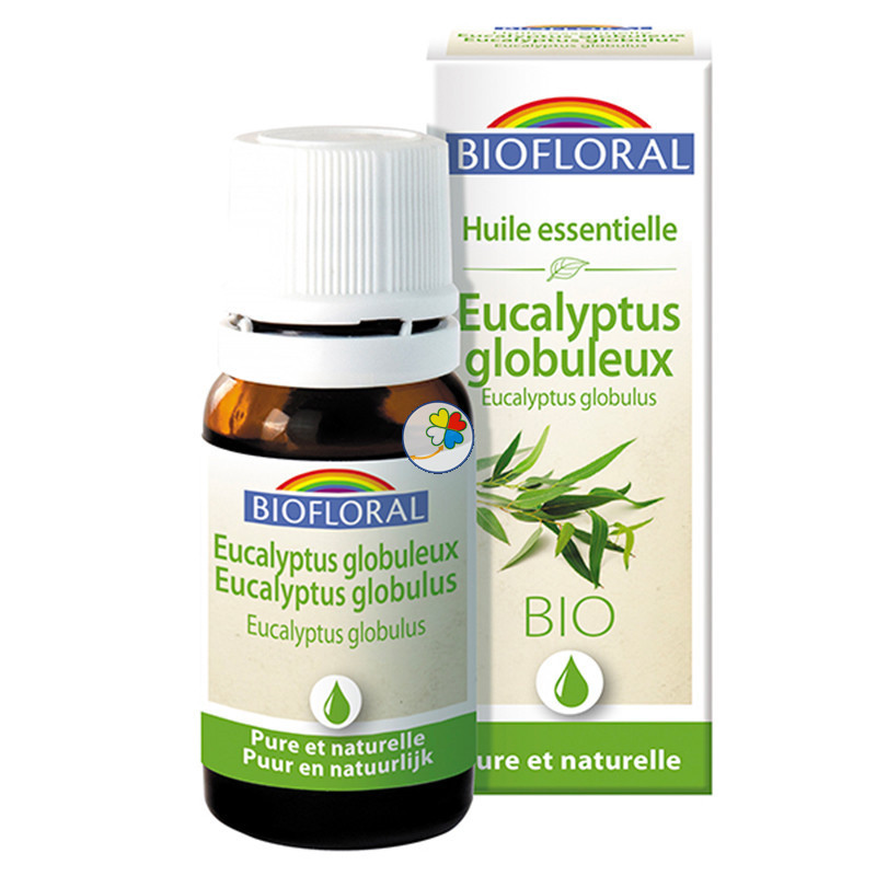 ACEITE ESENCIAL DE EUCALIPTUS GLOBULUS 10Ml. BIOFLORAL