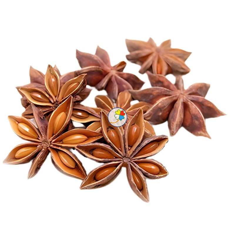 ANIS ESTRELLADO 100G DIPLAN ANIS ESTRELLADO 100G DIPLAN