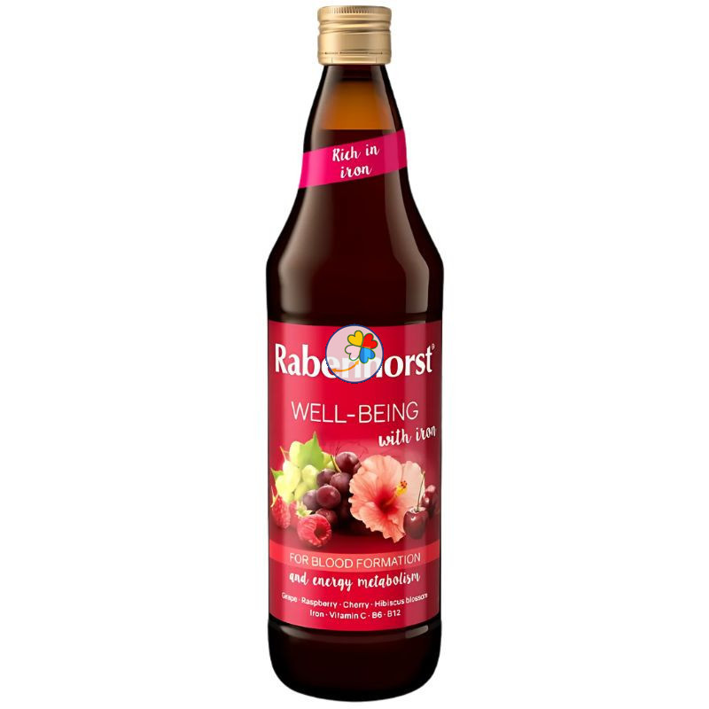 ZUMO WELL-BEING CON HIERRO 750ML RABENHORST