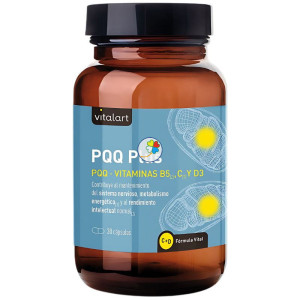 PQQ PLUS 30 CÁPSULAS VITALART