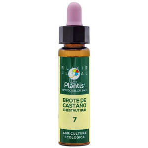 ELIXIR FLORAL 7 CHESTNUT BUD 10Ml. PLANTIS