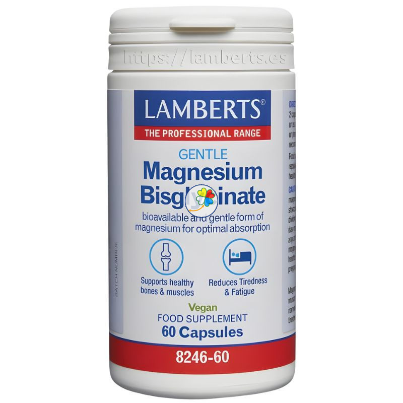 GENTLE MAGNESIUM BISGLYCINATE 60 CAPSULAS LAMBERTS