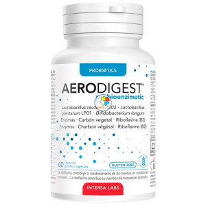 AERODIGEST PROBIOENZIMATIC 60 CÁPSULAS INTERSA