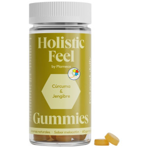 HOLISTIC FEEL 60 GOMINOLAS...