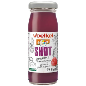 SHOT DE JENGIBRE Y FRUTOS...