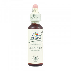 CLEMATIS 20Ml. BACH